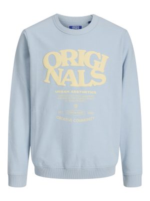 Jack & Jones TAVIRA SWEAT CREW NECK OC25 JNR