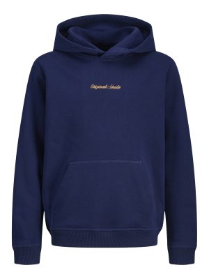 Jack & Jones NORREBRO EMB SWEAT HOOD NOOS JNR