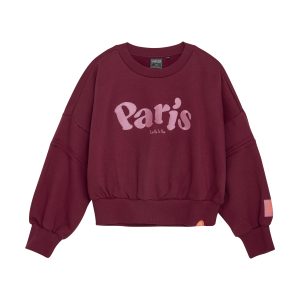 Indian Blue Jeans Sweater Paris