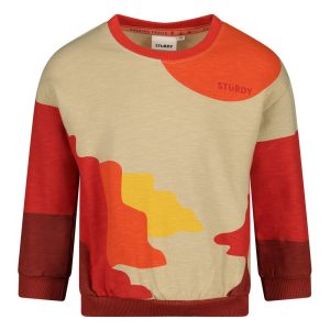 Sturdy Sweater AOP - Chasing Trails