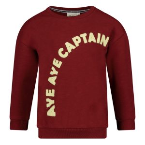 Sturdy Sweater bordeaux - Waves and Whales