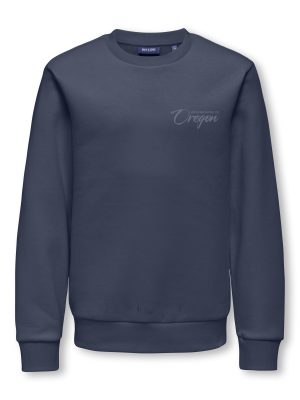 Only & Sons  ALAN REG LS CREW SWEAT JRS