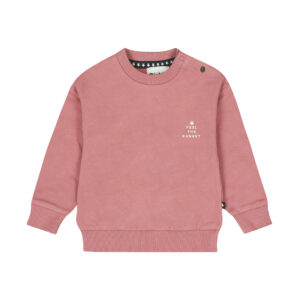 Dirkje sweater old pink boy