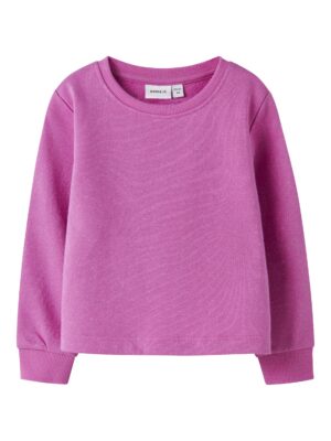 Name it mini DITTER LS SWEAT UNB