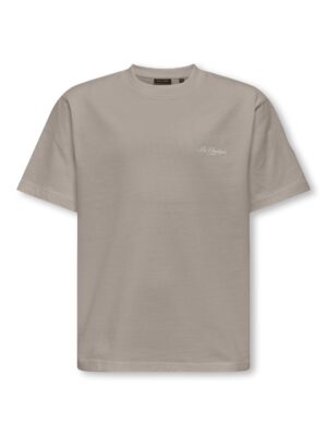 Only & Sons T-shirt Suprerior RLX