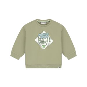BabyFace baby boys sweatshirt