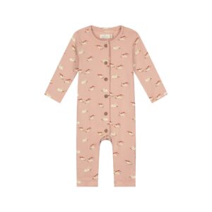 A Tiny Story baby boxpak