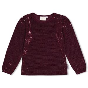 Jubel Longsleeve pailetten - Daily Princess