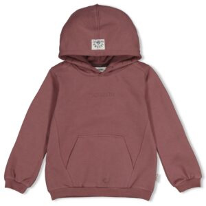 Sturdy Hoody - Rock the Earth