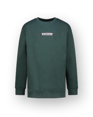 Raizzed boys Sweater Seasy