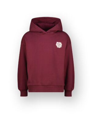 Raizzed girls Hoodie Helmy