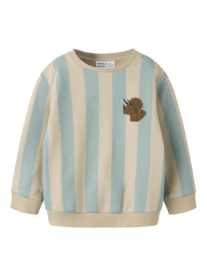 Name-It Mini RAKE LS NREG SWEAT BRU